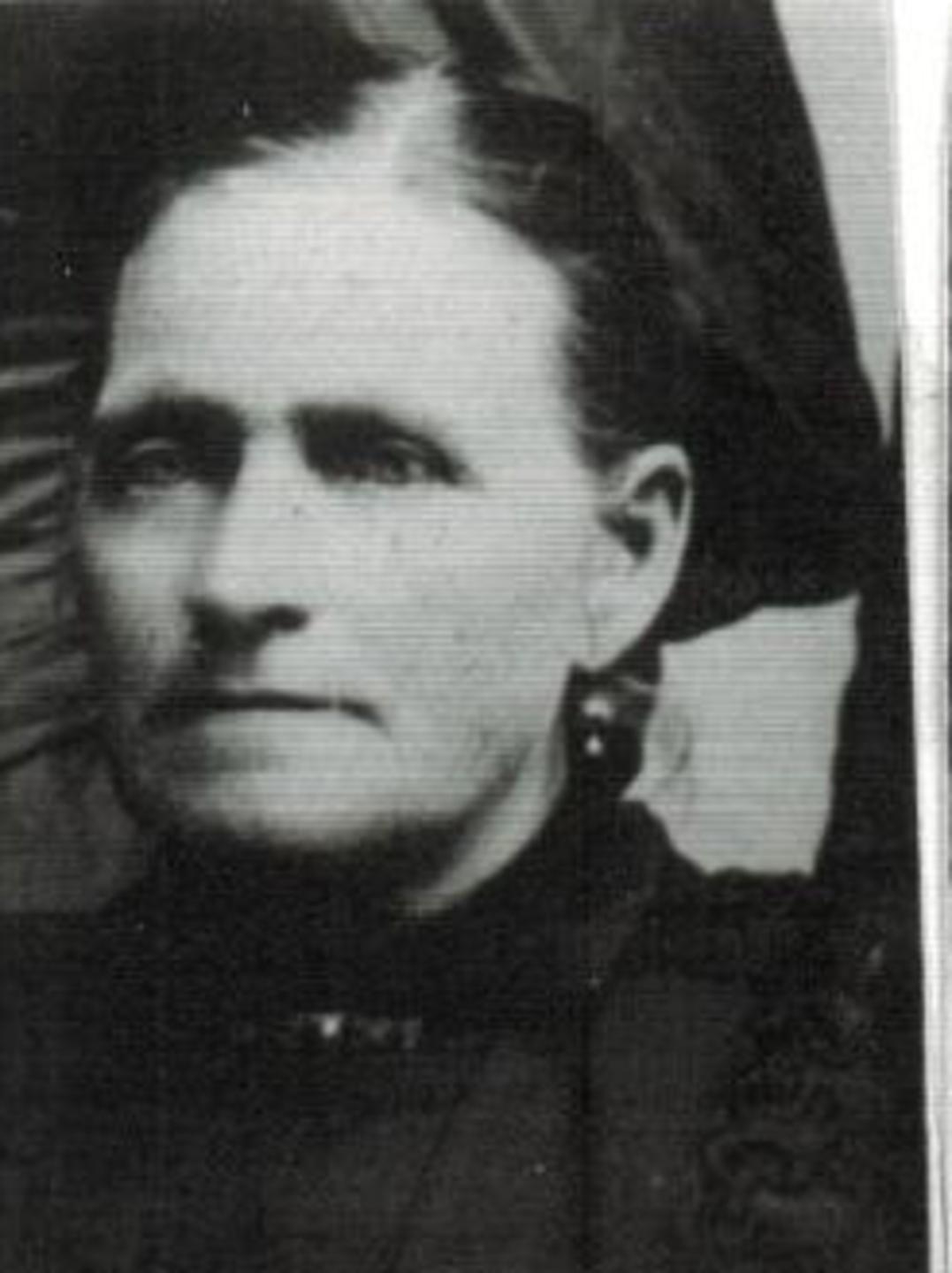 Elizabeth Motley (1837 - 1917) Profile